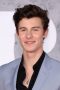 shawn mendes pic