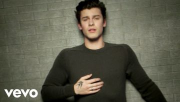 Shawn Mendes – In My Blood