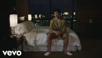 Shawn Mendes, Zedd – Lost In Japan 
